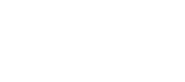 Disini logo